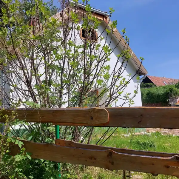 Eladó ingatlan, Nemesvita 2 szoba 70 m² 59 M Ft