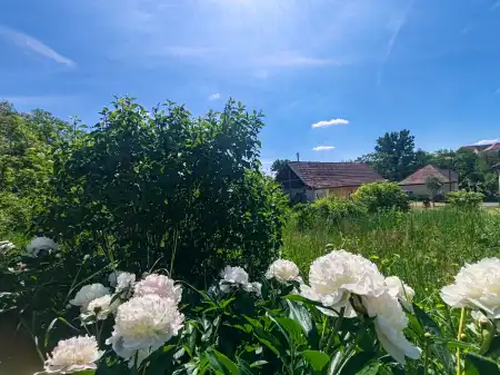 eladó ingatlan, Nógrádsáp