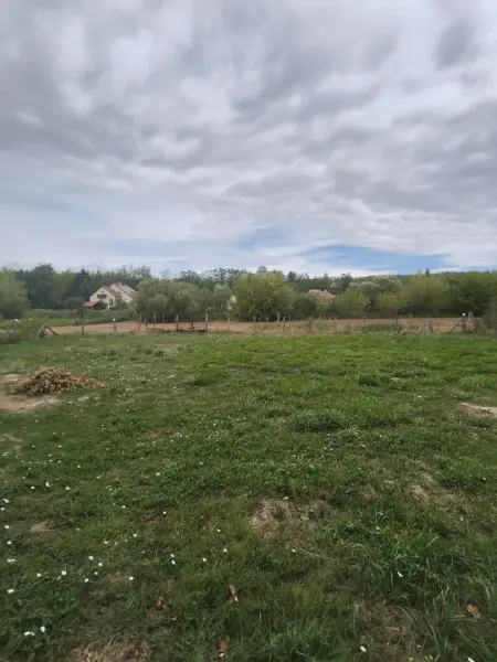 eladó ingatlan, Nőtincs