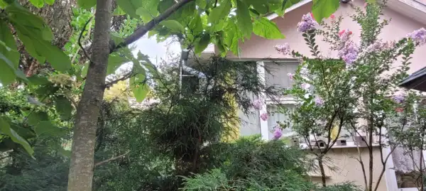 Eladó ingatlan, Nyíregyháza 2+2 szoba 120 m² 59 M Ft