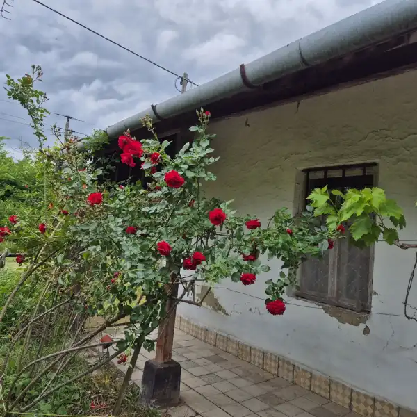 Eladó ingatlan, Poroszló 2 szoba 70 m² 15 M Ft