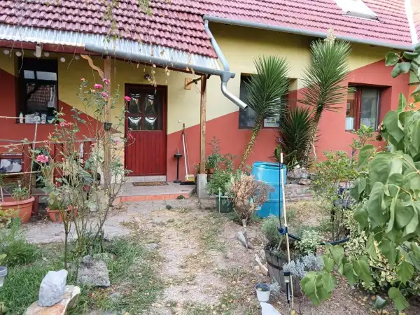 Eladó ingatlan, Sándorfalva 5 szoba 120 m² 84.9 M Ft