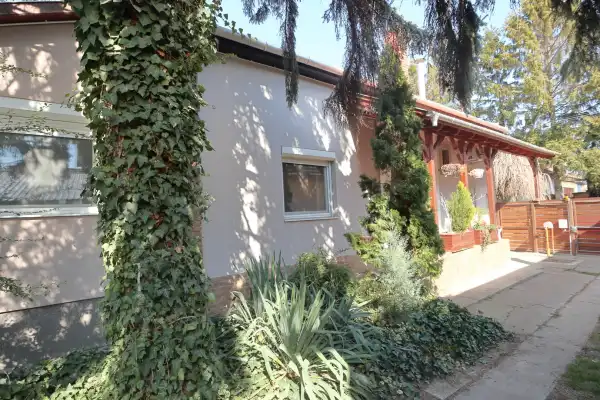 Eladó ingatlan, Sándorfalva 5 szoba 130 m² 97.8 M Ft