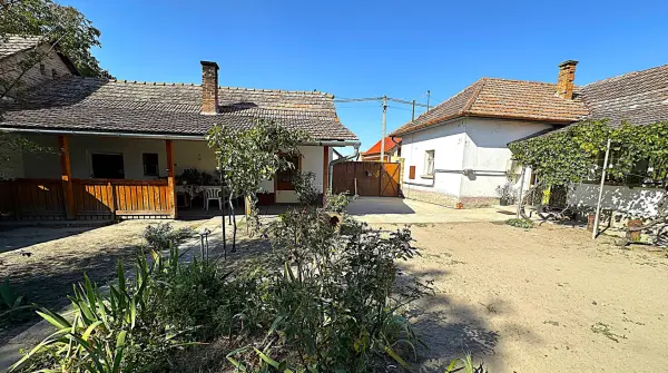 Eladó ingatlan, Sándorfalva 4 szoba 88 m² 51 M Ft