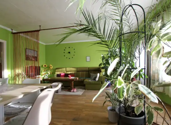 Eladó ingatlan, Seregélyes 10 szoba 300 m² 92 M Ft