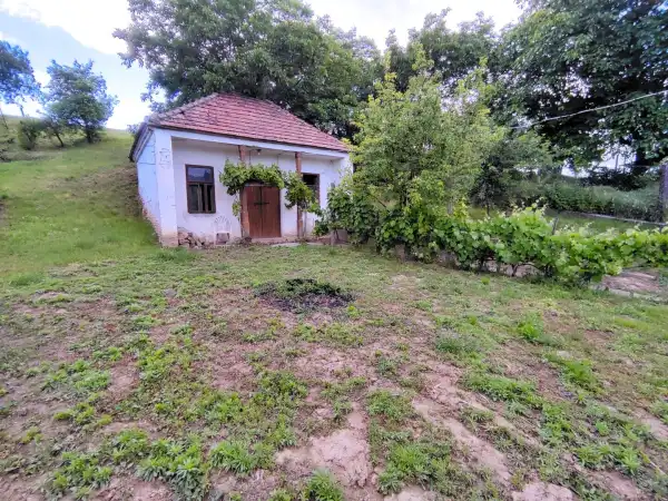 Eladó ingatlan, Somberek 6 szoba 154 m² 28.5 M Ft