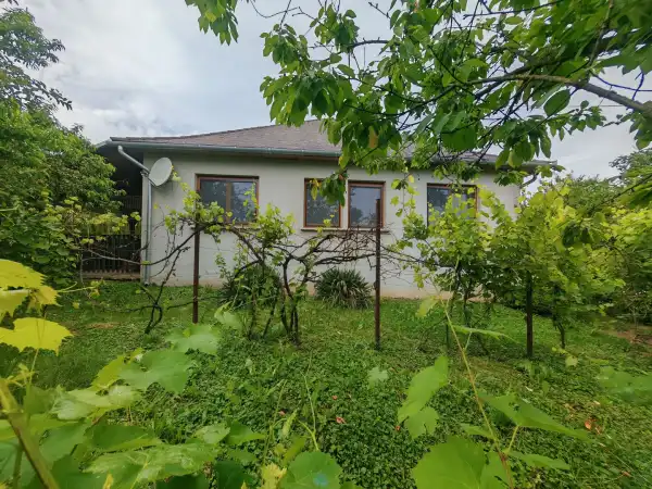 Eladó ingatlan, Szaknyér 3 szoba 99 m² 58.9 M Ft
