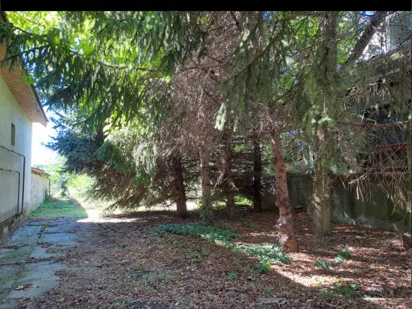 Eladó ingatlan, Szalkszentmárton 3 szoba 280 m² 53 M Ft