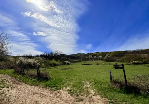 Eladó ingatlan, Szandaváralja 2 szoba 70 m² 33.9 M Ft