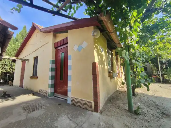 Eladó ingatlan, Szatymaz 4 szoba 100 m² 45 M Ft