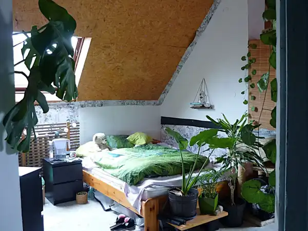 Eladó ingatlan, Szeged-Gyálarét 4 szoba 135 m² 51 M Ft
