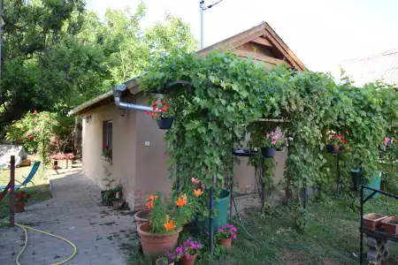 eladó ingatlan, Szigethalom