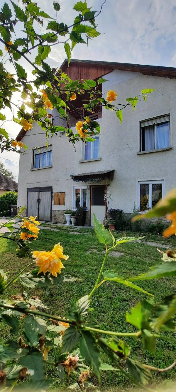 eladó ingatlan, Szokolya