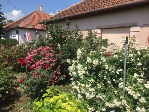 Eladó ingatlan, Telekgerendás 2+1 szoba 100 m² 19 M Ft