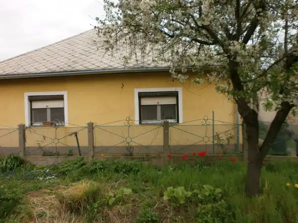 Eladó ingatlan, Tiszafüred 5+1 szoba 163 m² 45 M Ft
