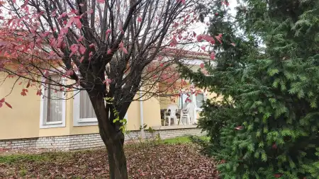 eladó ingatlan, Tök