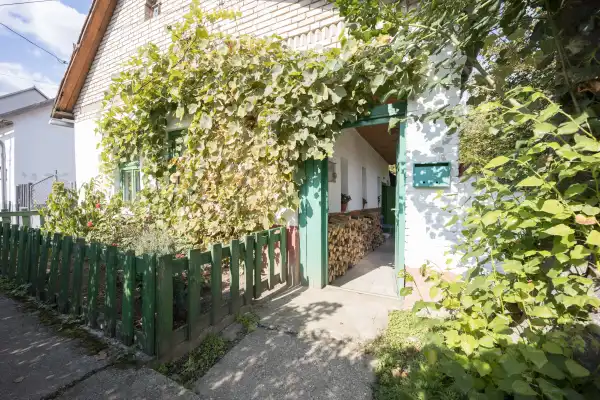 Eladó ingatlan, Tolmács 1 szoba 54 m² 20.9 M Ft