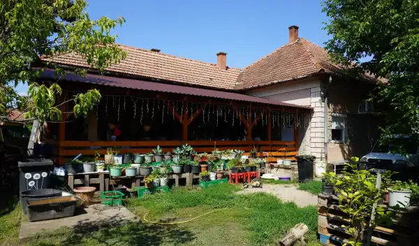 Eladó ingatlan, Tömörkény 3 szoba 93 m² 18.9 M Ft