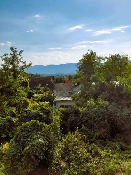eladó ingatlan, Vác