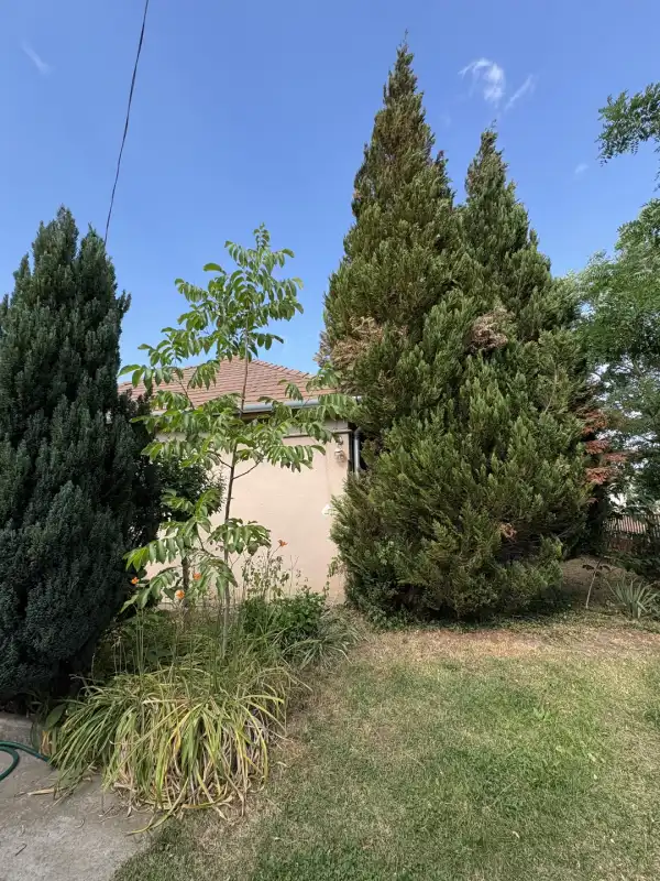 Eladó ingatlan, Vámosmikola 4 szoba 110 m² 32.5 M Ft