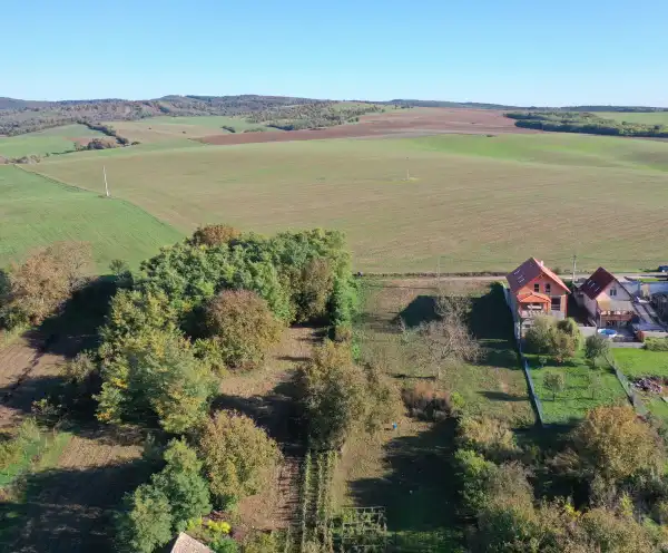 Eladó ingatlan, Vanyarc 5 szoba 254 m² 64.9 M Ft