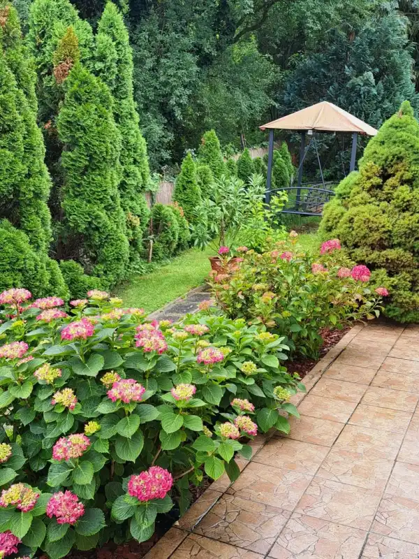 Eladó ingatlan, Verőce 5 szoba 245 m² 185 M Ft