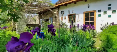 eladó ingatlan, Zebegény