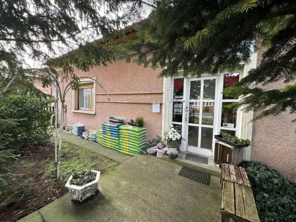 Eladó ingatlan, Zsombó 3 szoba 136 m² 49.9 M Ft