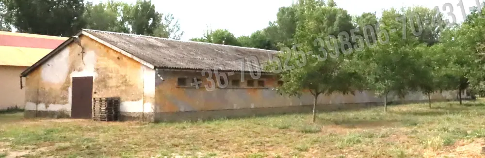 Pest megye - Albertirsa