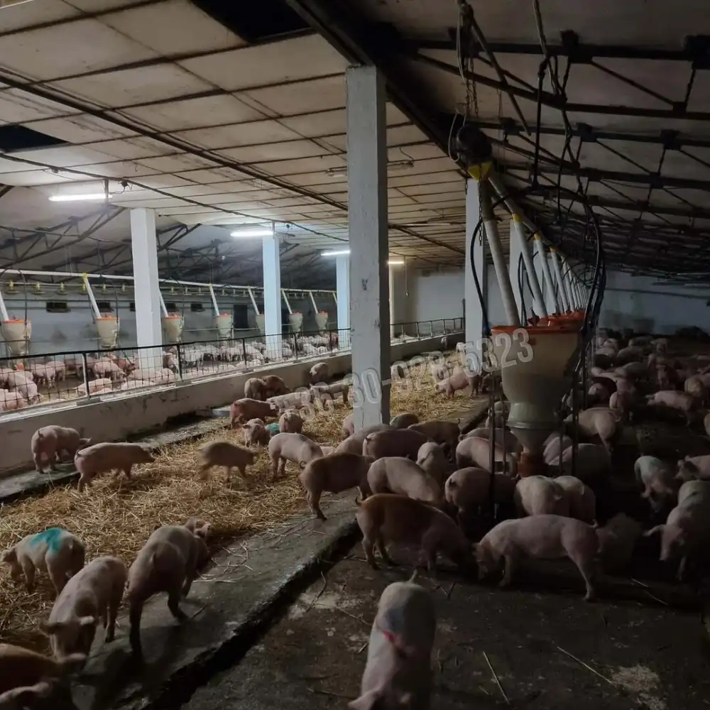 Békés megye - Békés