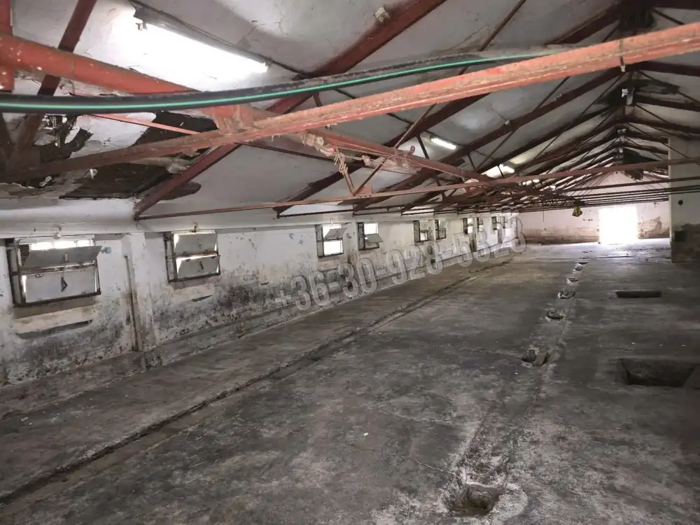 Békés megye - Békés