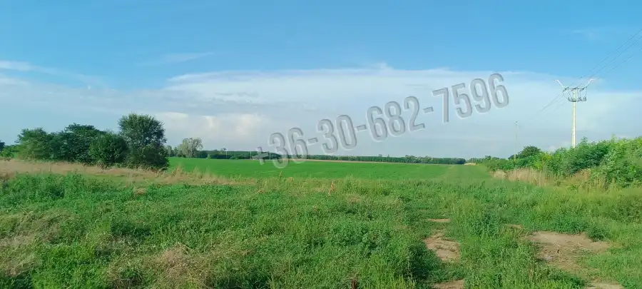 eladó  Ipari és kereskedelmi telek, Dabas