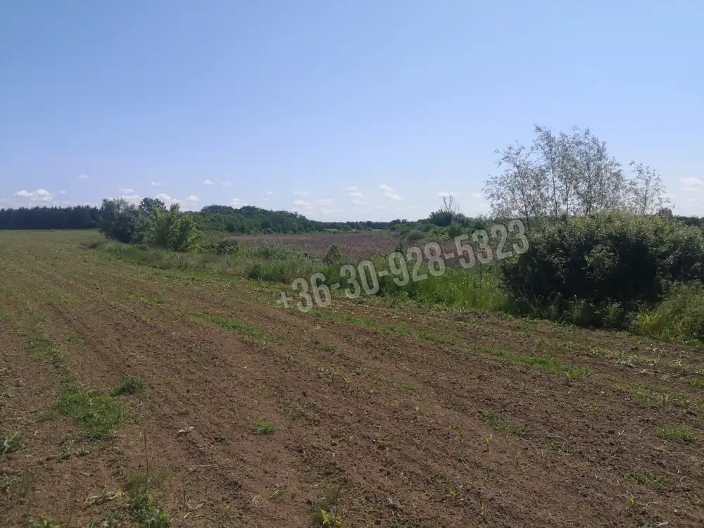 Szabolcs-Szatmár-Bereg megye - Jánd