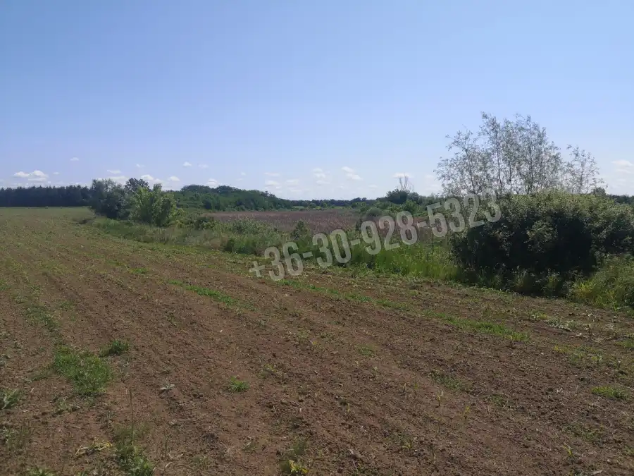 eladó  Ipari és kereskedelmi telek, Jánd