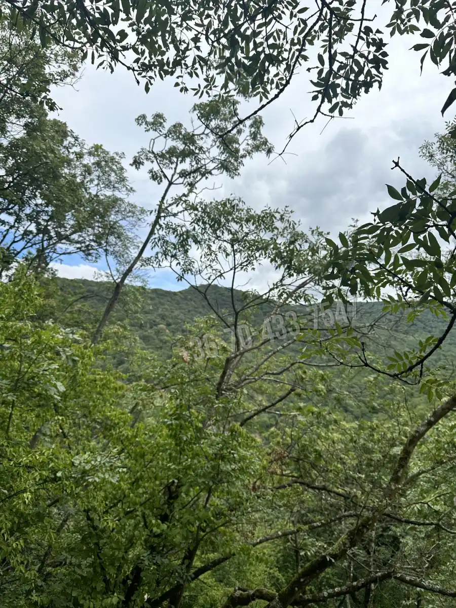 eladó  Ipari és kereskedelmi telek, Törökbálint eladó  Ipari és kereskedelmi telek, Törökbálint