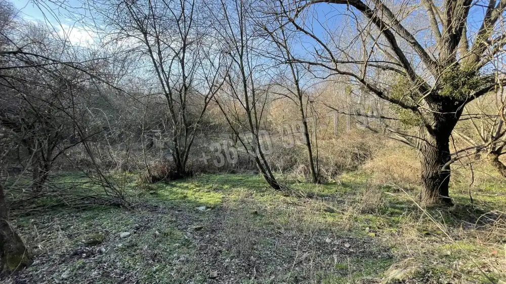 Komárom-Esztergom megye - Baj