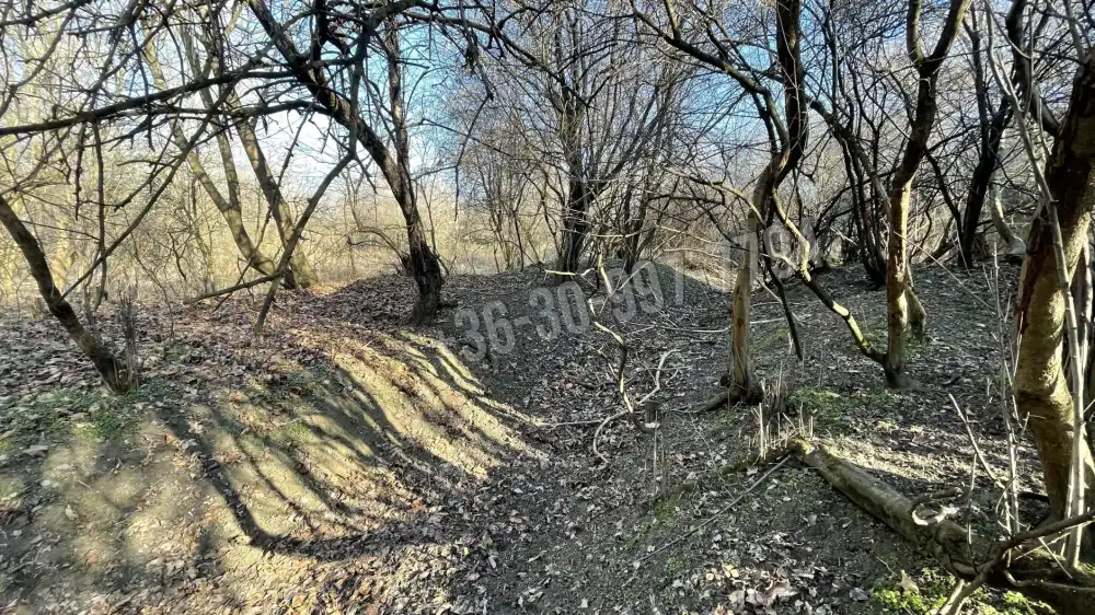 Komárom-Esztergom megye - Baj