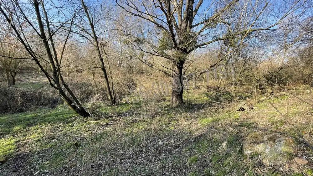 Komárom-Esztergom megye - Baj