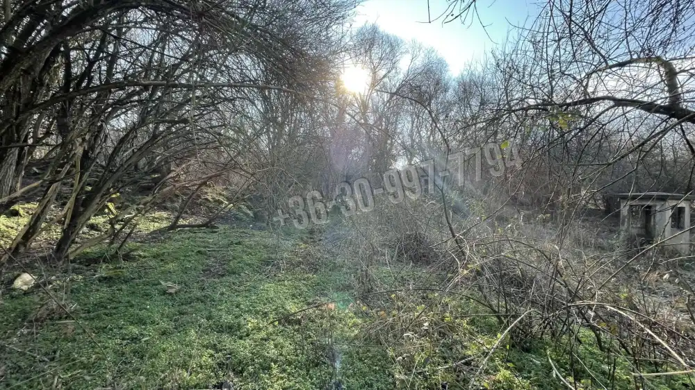 Komárom-Esztergom megye - Baj