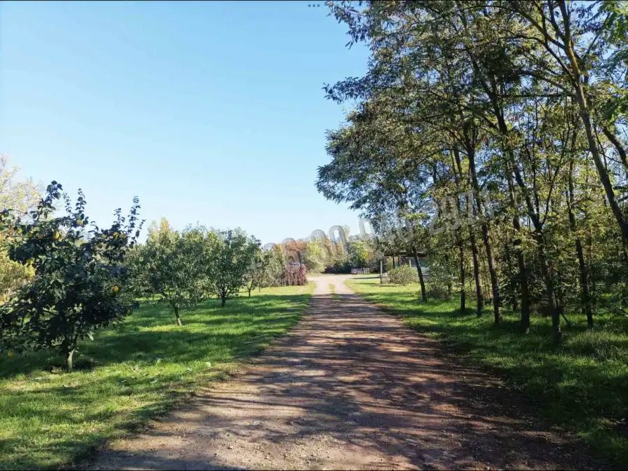 eladó ipari ingatlan, Békéscsaba