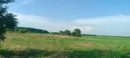 eladó ipari ingatlan, Dabas