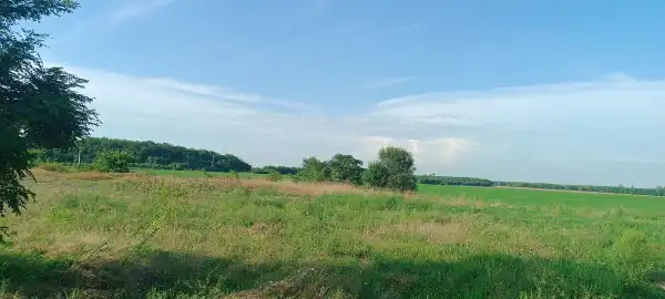 Eladó ipari ingatlan, Dabas 1718.7 M Ft