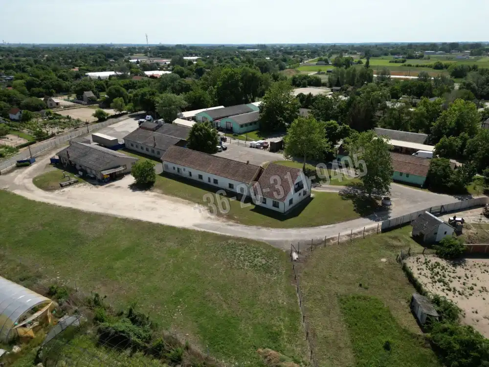 Csongrád megye - Domaszék