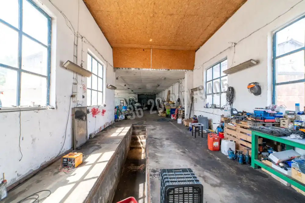 Csongrád megye - Domaszék