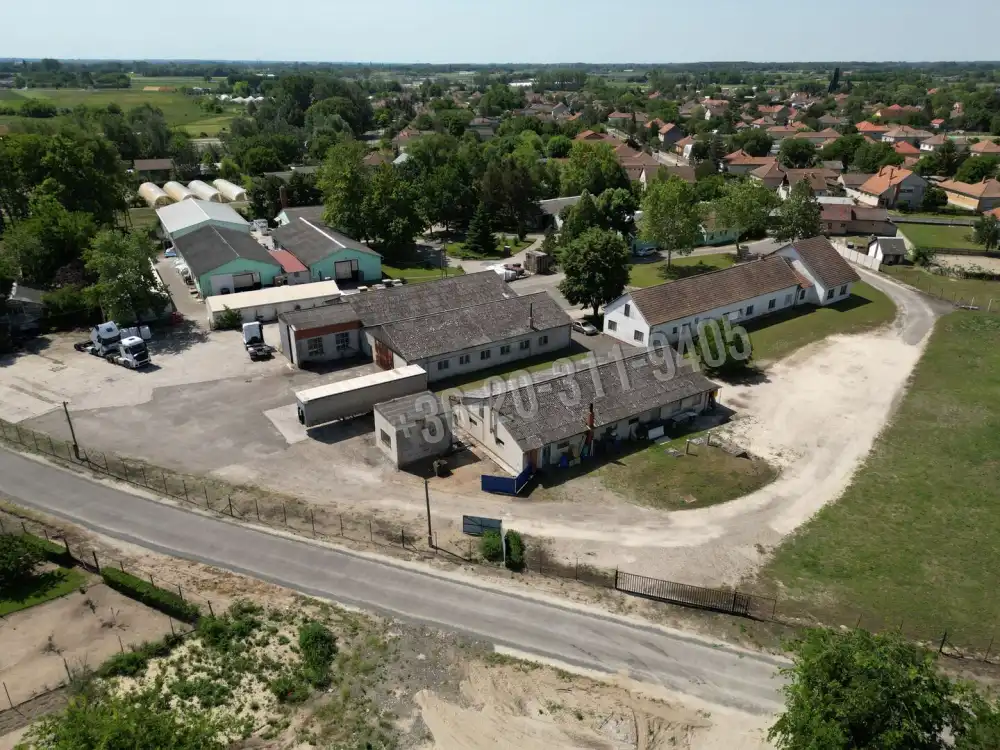 Csongrád megye - Domaszék