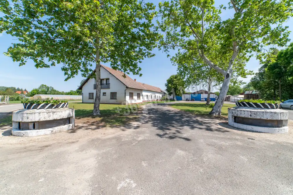 Csongrád megye - Domaszék