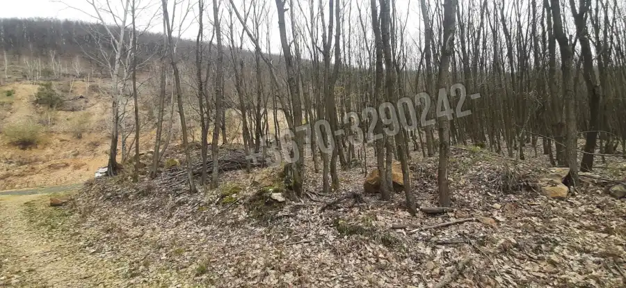 eladó ipari ingatlan, Füzérradvány