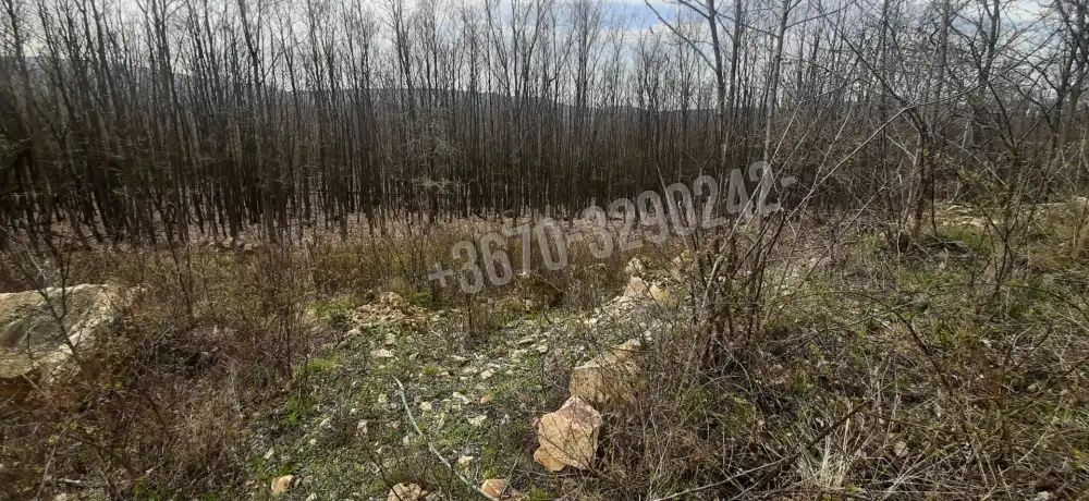 Borsod-Abaúj-Zemplén megye - Füzérradvány