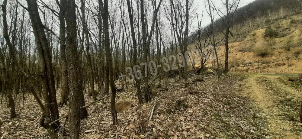 Borsod-Abaúj-Zemplén megye - Füzérradvány