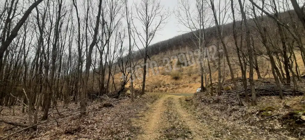 Borsod-Abaúj-Zemplén megye - Füzérradvány